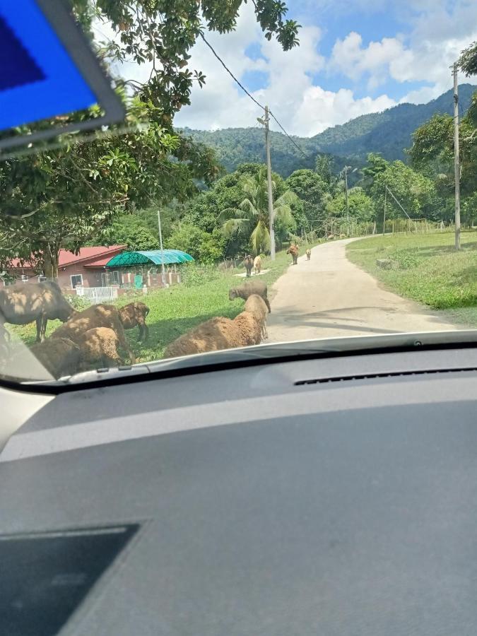 Aliza Scawa Homestay Kuala Pilah Luaran gambar